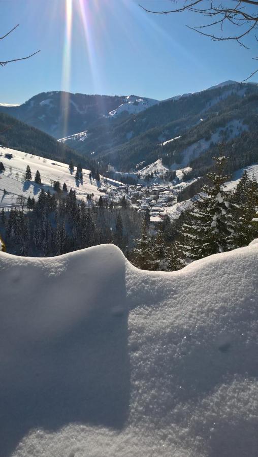 Villa Das Hochkönig Dienten am Hochkönig Exterior foto